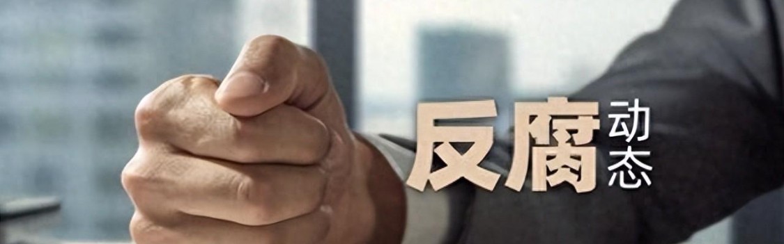 KaiyunSports-开云体育-李小林被查！铁血军魂不许玷污一声惊雷，又一只“老虎”应声落马